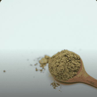 green tea extract